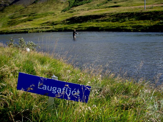 Andakílsá í 649 laxa veiði - Laugarfljótið fullt af laxi