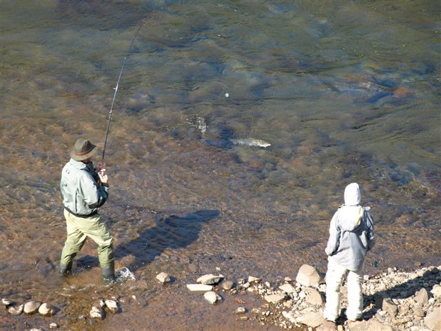 Fáskrúð í Dölum - Veiðar í Stebbastreng sumarið 2009