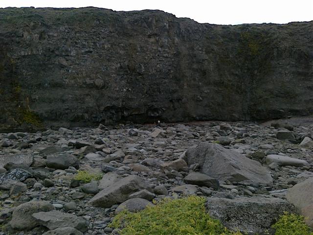 Veiðimaður kastar í Viðbjóð